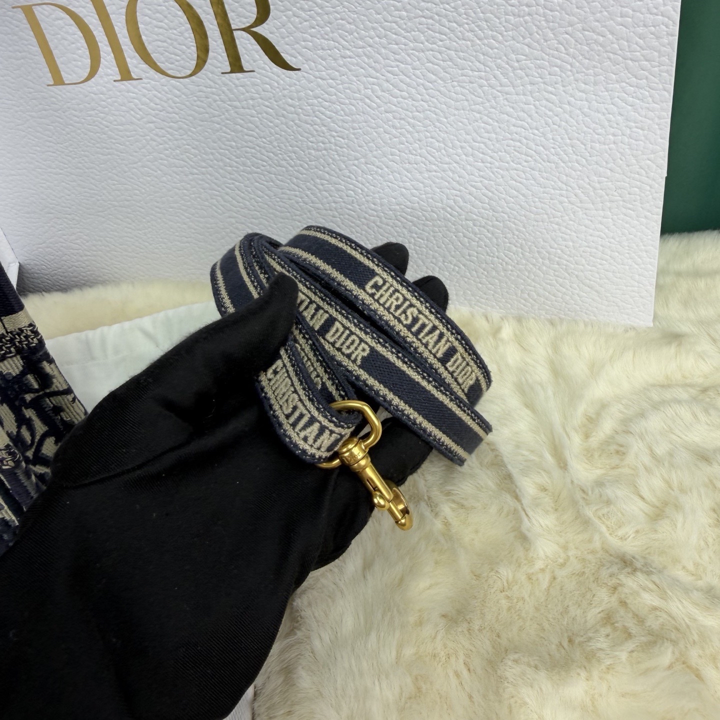 【預訂貨品】DIOR刺繡老花琴譜包