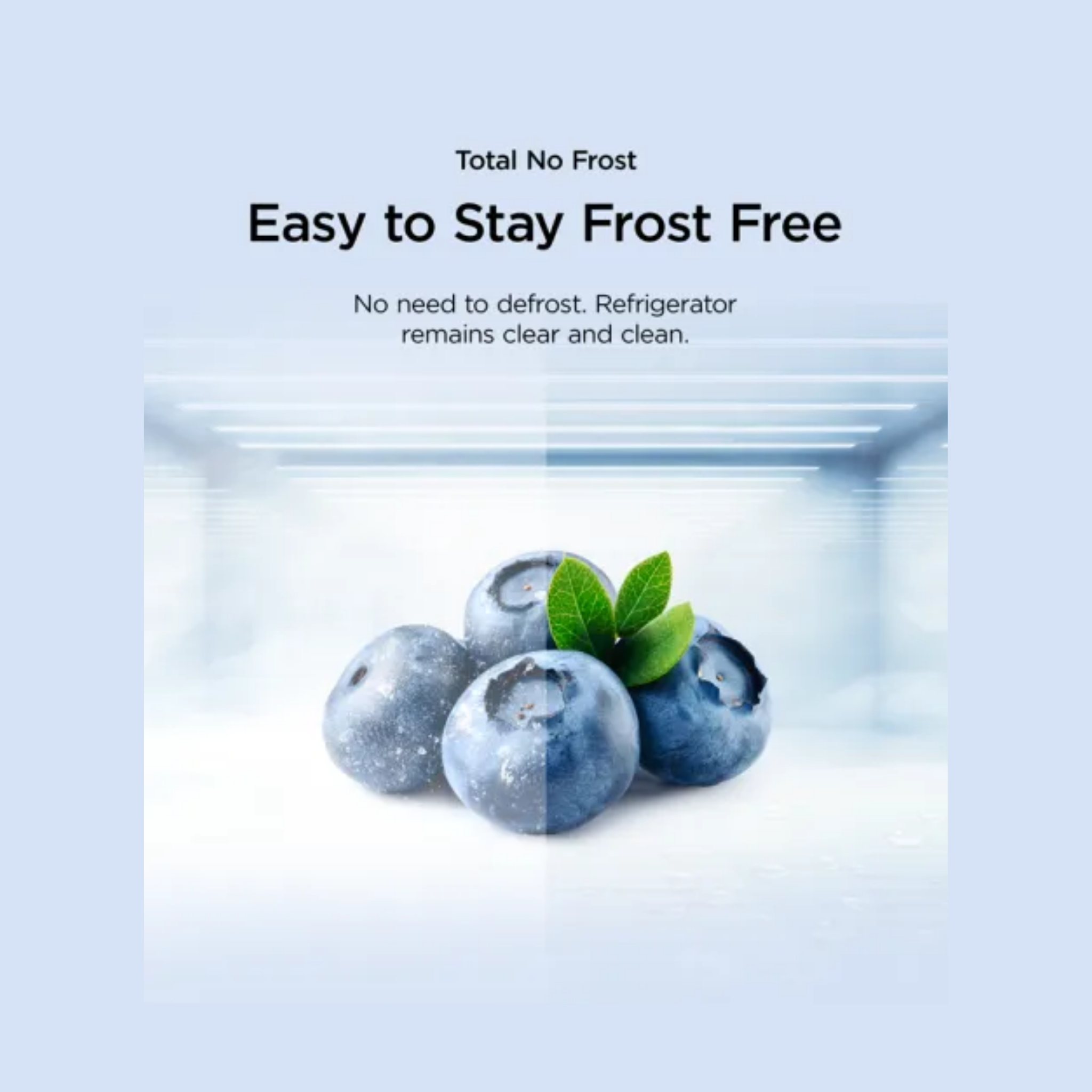 TCL 161L No Frost Upright Freezer (TF-NU200AS)