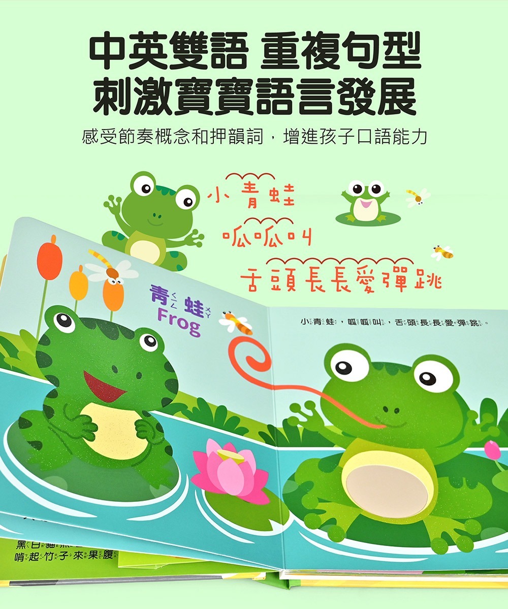 觸摸有聲書：這是什麼聲音？樂器