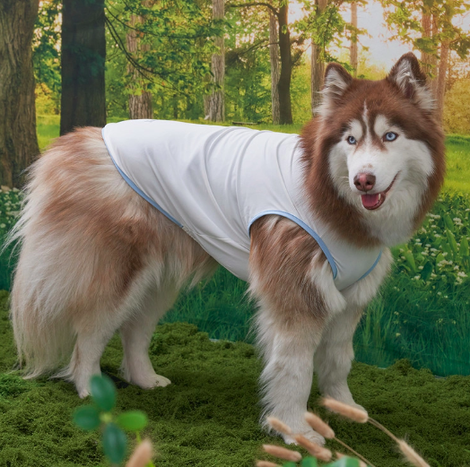 *Super Pet🇰🇷狗狗涼感背心(DG416) 尺碼S-6XL