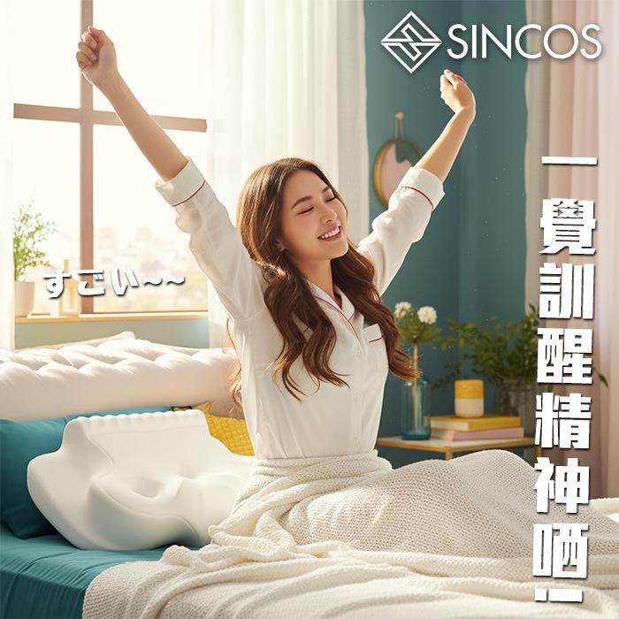 SINCOS 🇭🇰 仿生蝶形雙翼止鼻鼾枕