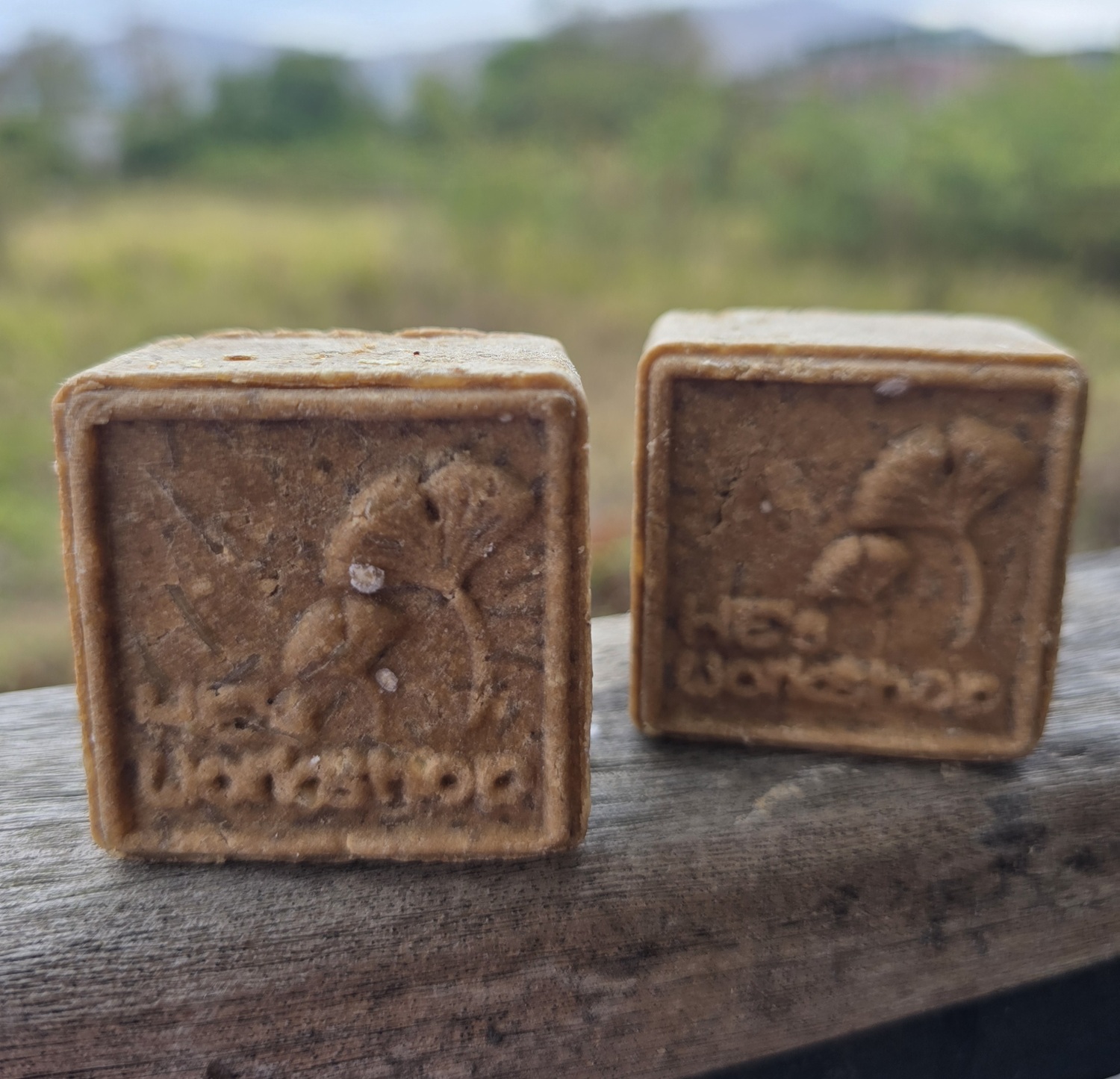 1117. 🌿 洗髮餅 - 中性(何首烏) 60g