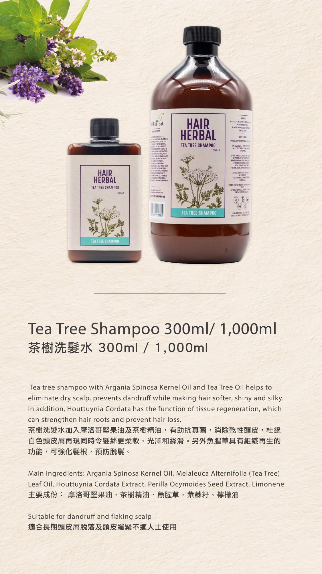 HAIR HERBAL Tea Tree Shampoo 茶樹洗髮水 1000ml （改善頭屑）