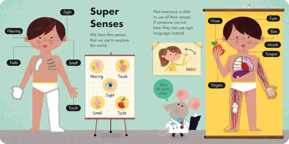 HOW IT WORKS board book series (4冊)