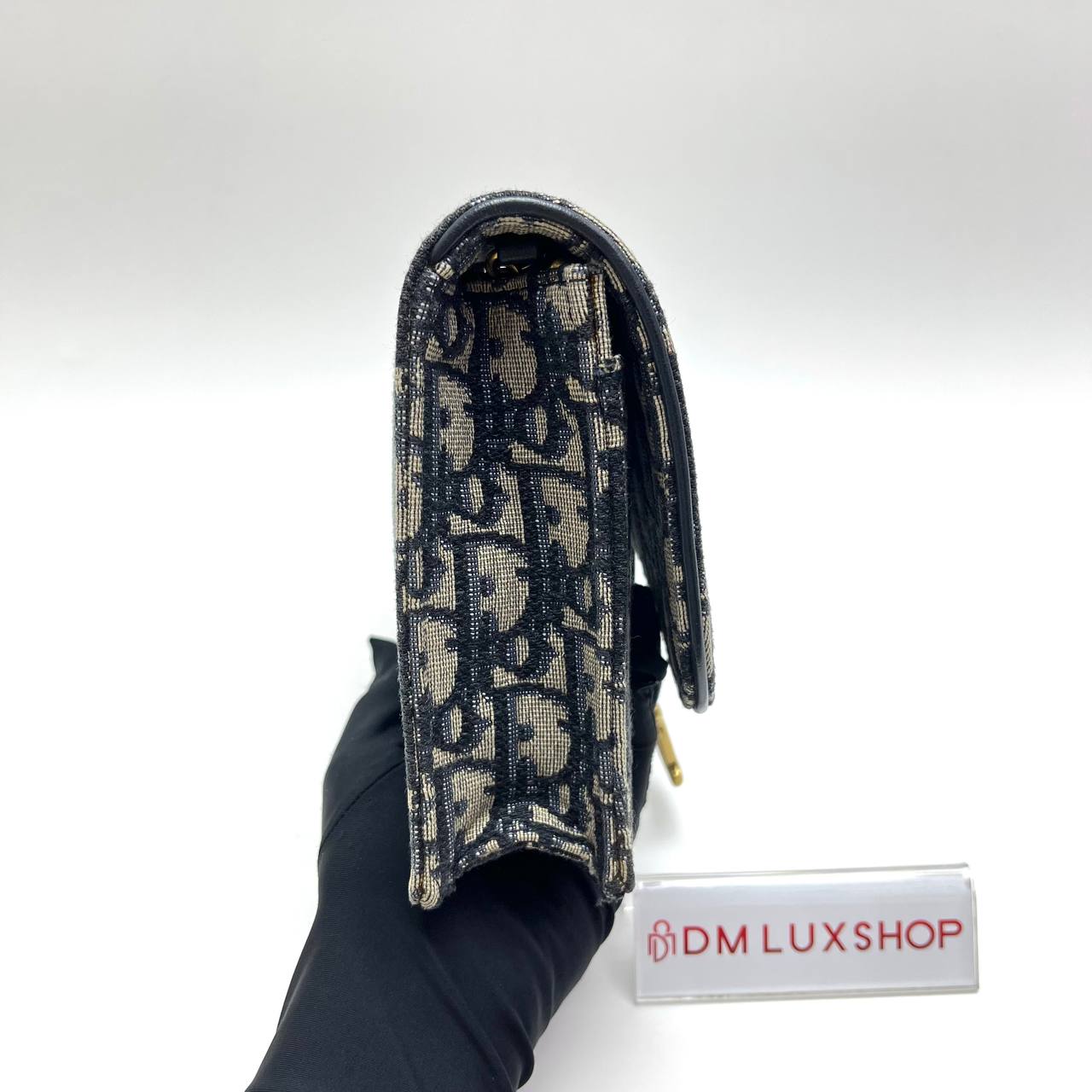 Dior Saddle Pouch with Chain