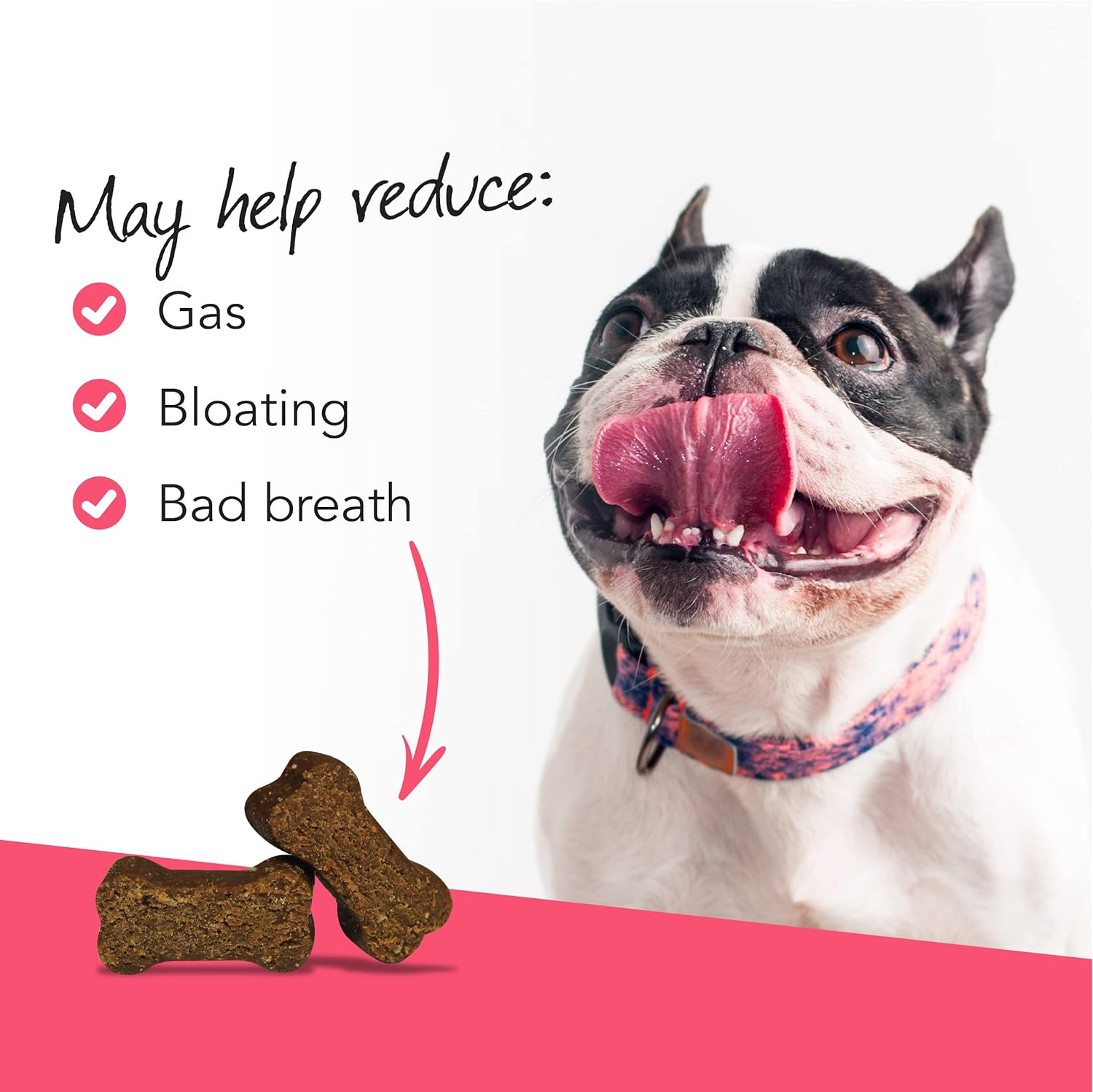 Vetri-Science Gut Health (Probiotic Everyday) For Dog 狗狗每日益生菌小食