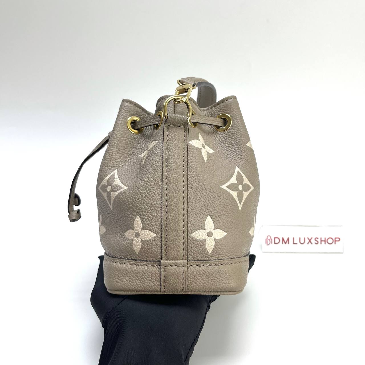 LV Bicolour Nano Noe GHW