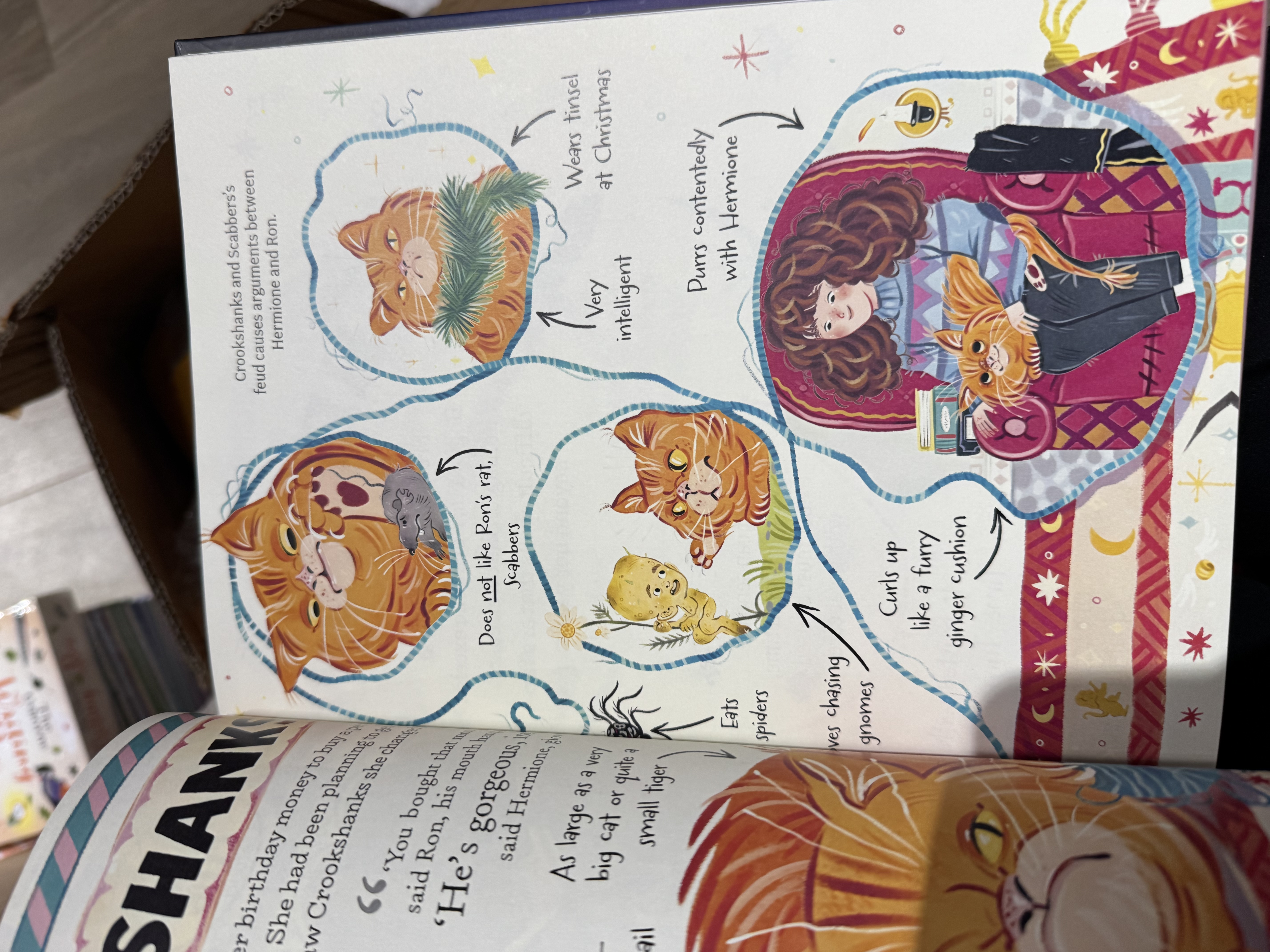 新書速遞 Pocket Potters 口袋哈利波特 哈迷必入系列 · POCKET POTTERS · LITTLE GUIDES TO THE · Harry Potter STORIES BY J.K. ROWLING · LUNA LOVEGOOD & DUMBLEDORE 🏰每一本都是獨立的角色小傳記濃縮了J.K.J.K.Rowling羅琳筆下的魔法世界！ 🧡