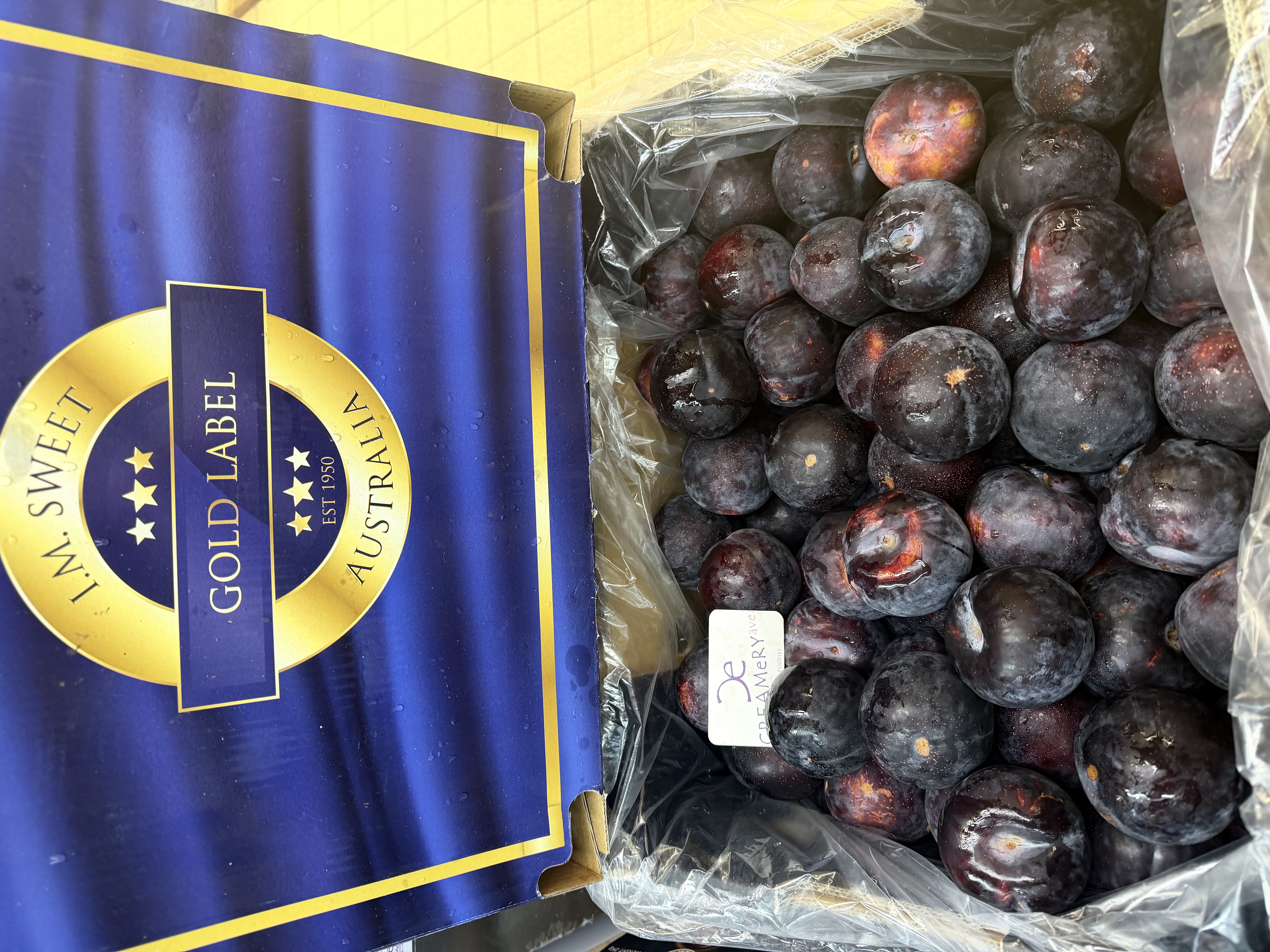 澳洲I’m Sweet黑布冧 Australia Angelino Plum 63mm size 6個