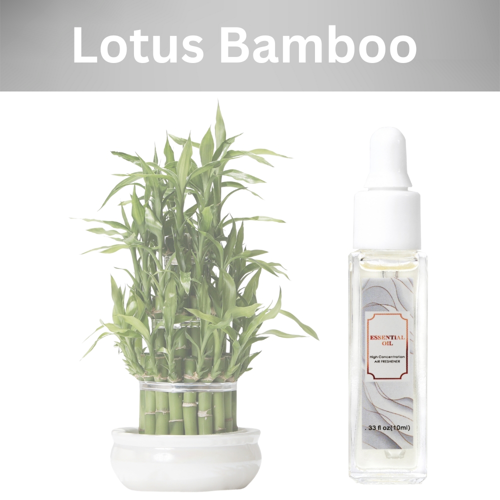 荷花竹子 Lotus Bamboo 💗 加拿大🇨🇦 Essential Oil CA 純天然植物萃取家居香薰 💗