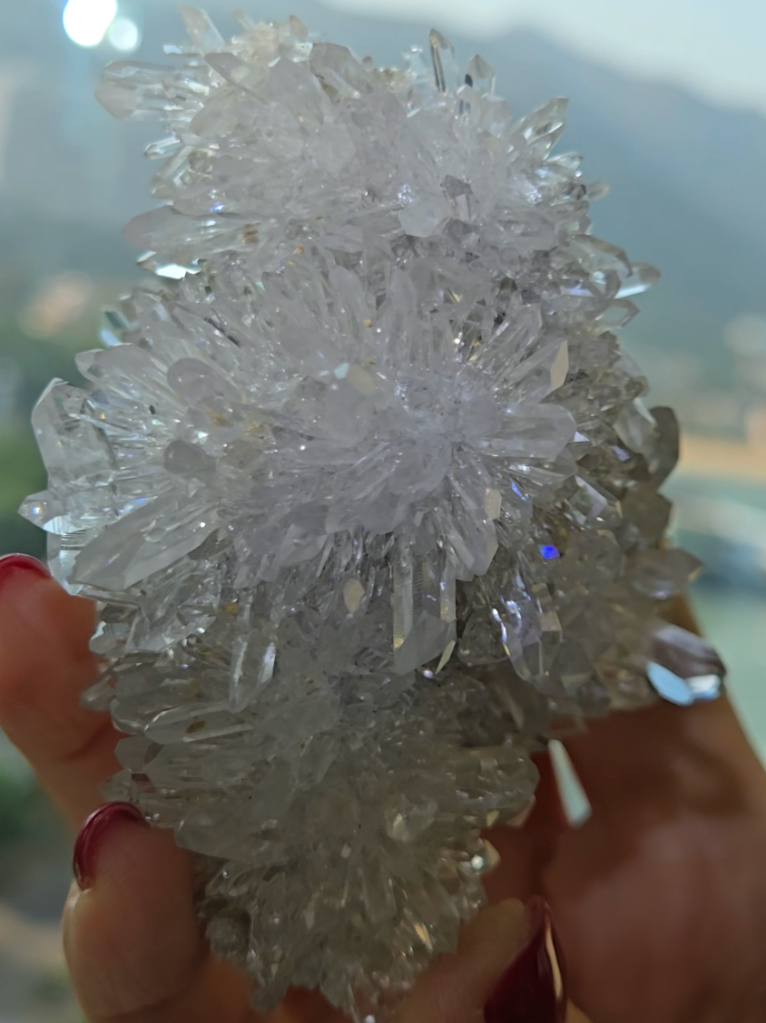 Chrysanthemum needle quartz with flower buds - CQ477