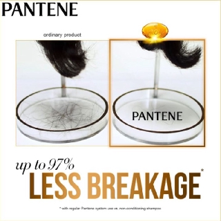 Pantene Shampoo 170ml / DAILY MOISTURE
