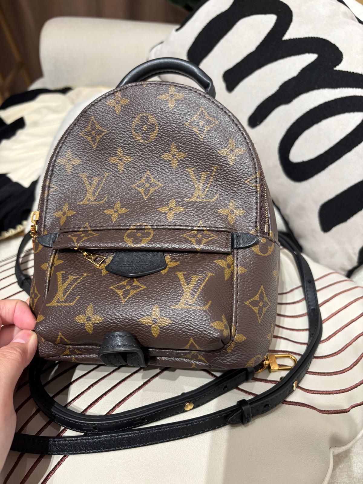 Lv mini Palm Springs backpack M44873 100%Authentic ,98%new ✅dust bag✅Strap