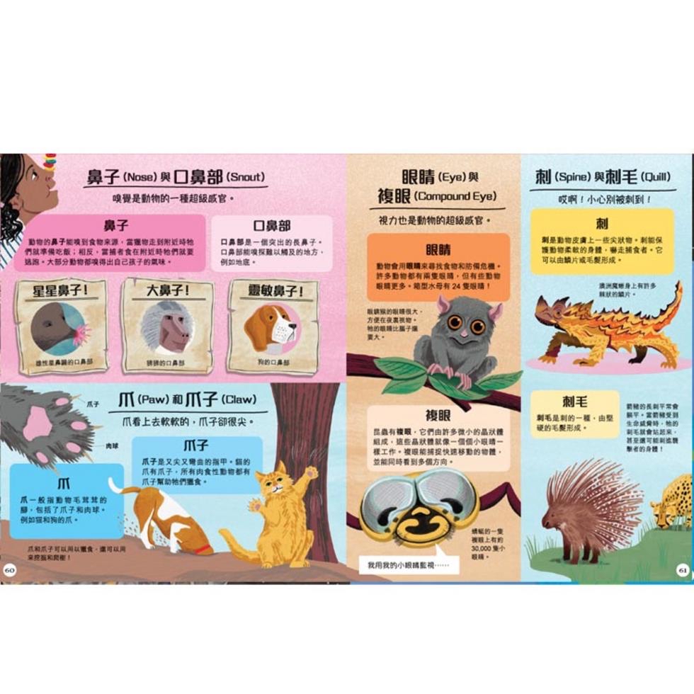 你不知？我知！180組趣味知識速解［新雅•知識館］