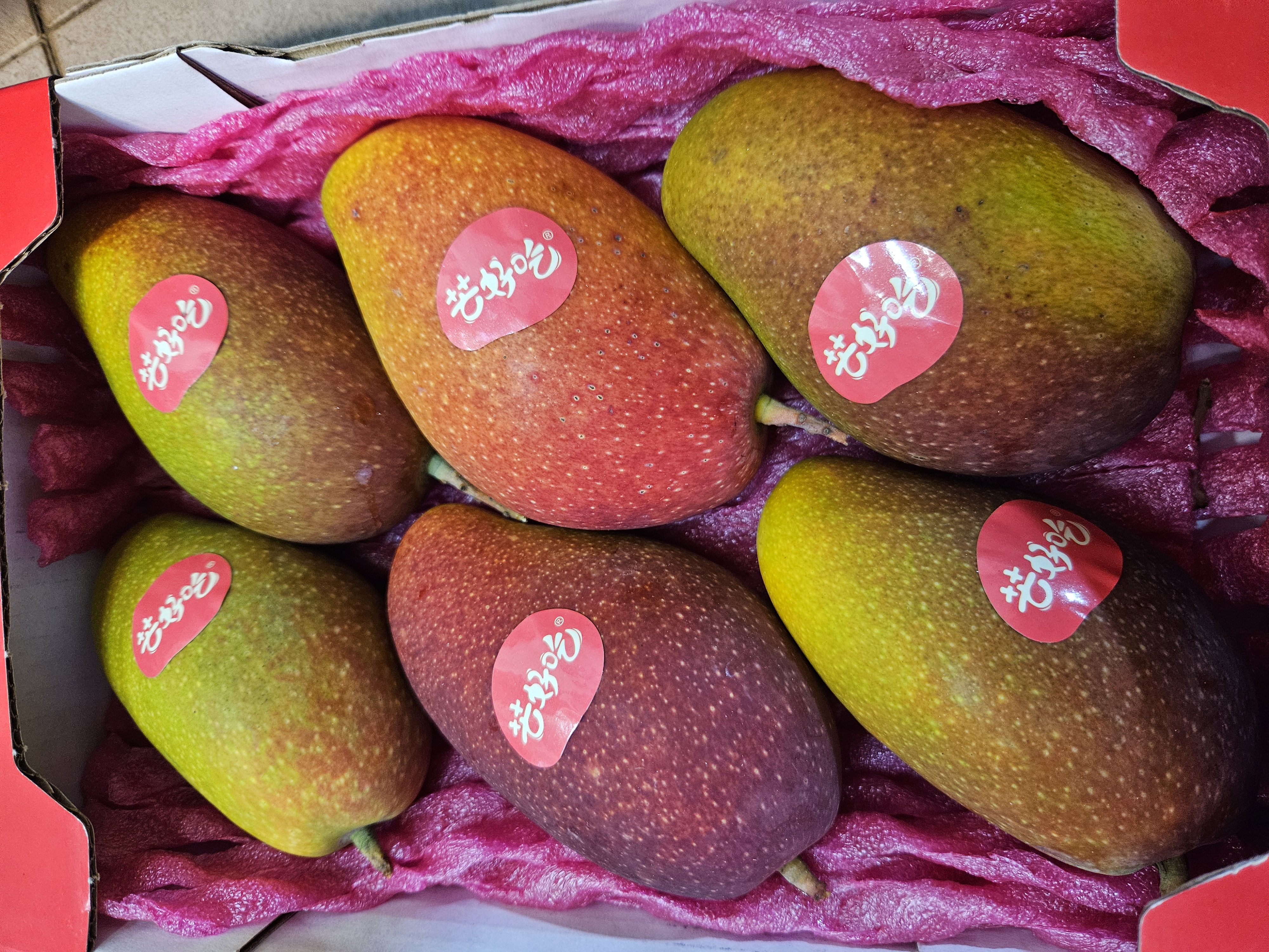 三亞树上熟貴妃芒 每盒6個