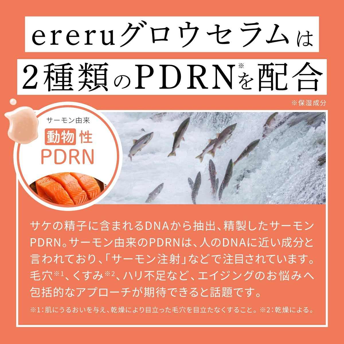 【日本製】ereru 艾蕾露雙重 PDRN 光耀彈潤緊緻透亮精華 30ml｜抗老緊緻、縮毛孔、改善膚色不均 