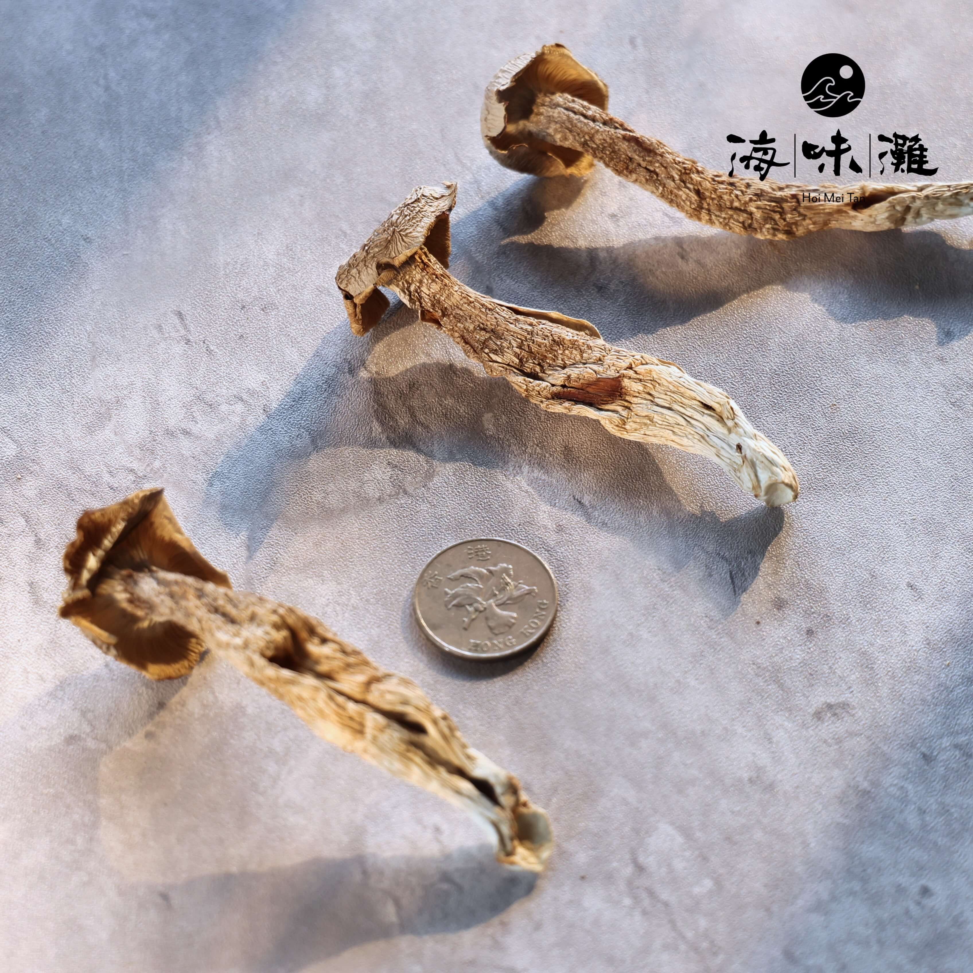 特級鹿茸菇－清香撲鼻｜爽脆可口