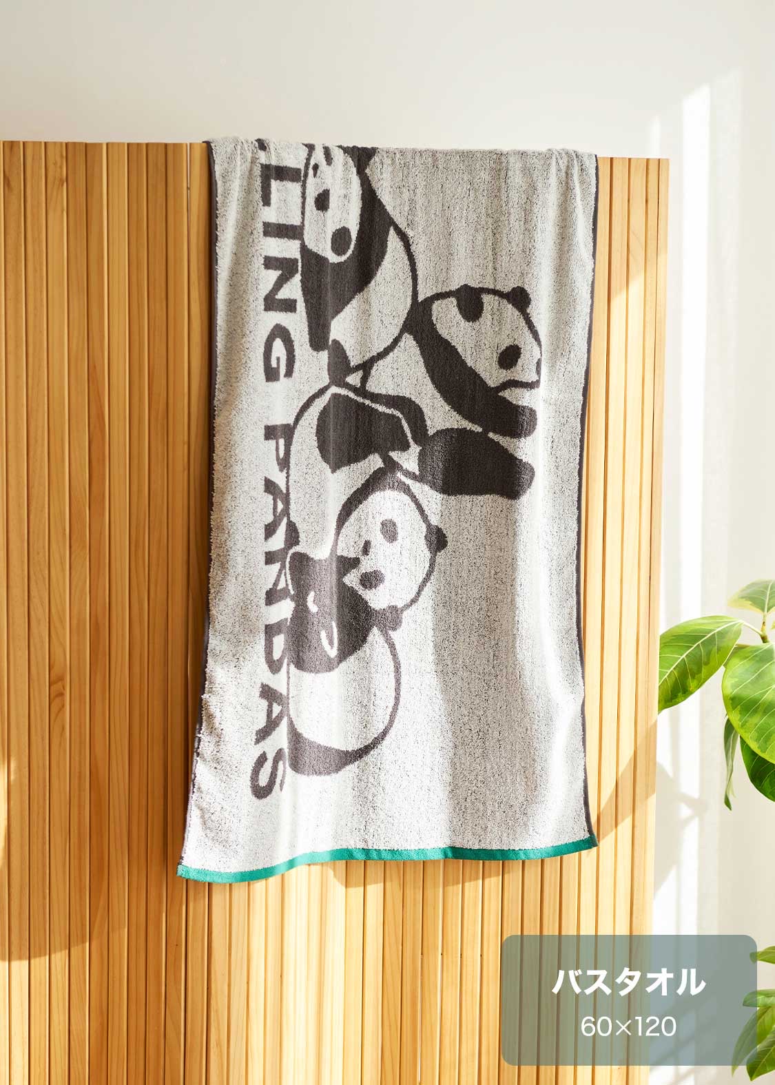 📦訂購 日本限定 graniph Rolling Pandas 熊貓 大毛巾 浴巾