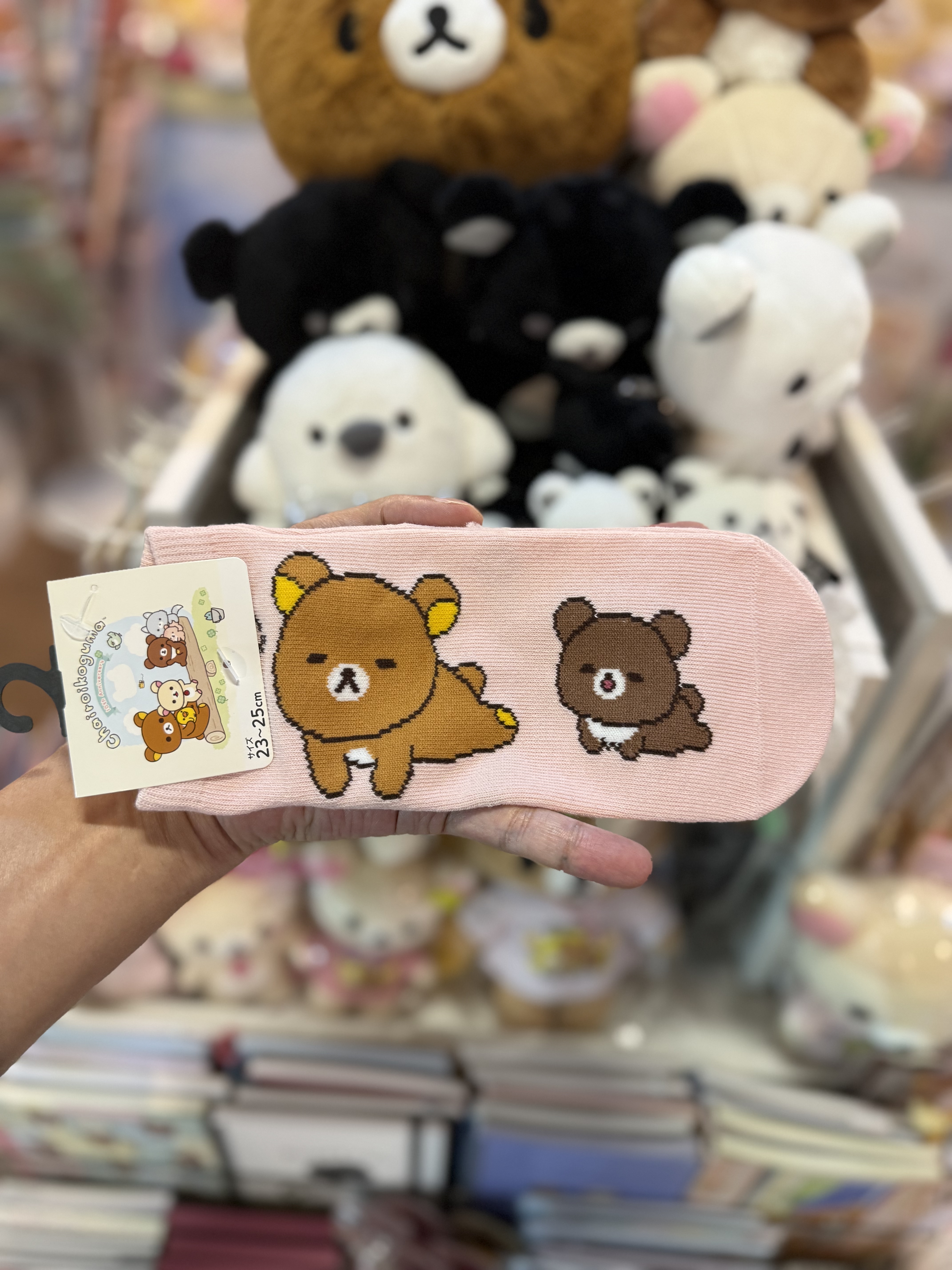 《現貨》全新日本限定小熊10週年紀念系列 茶小熊大人襪