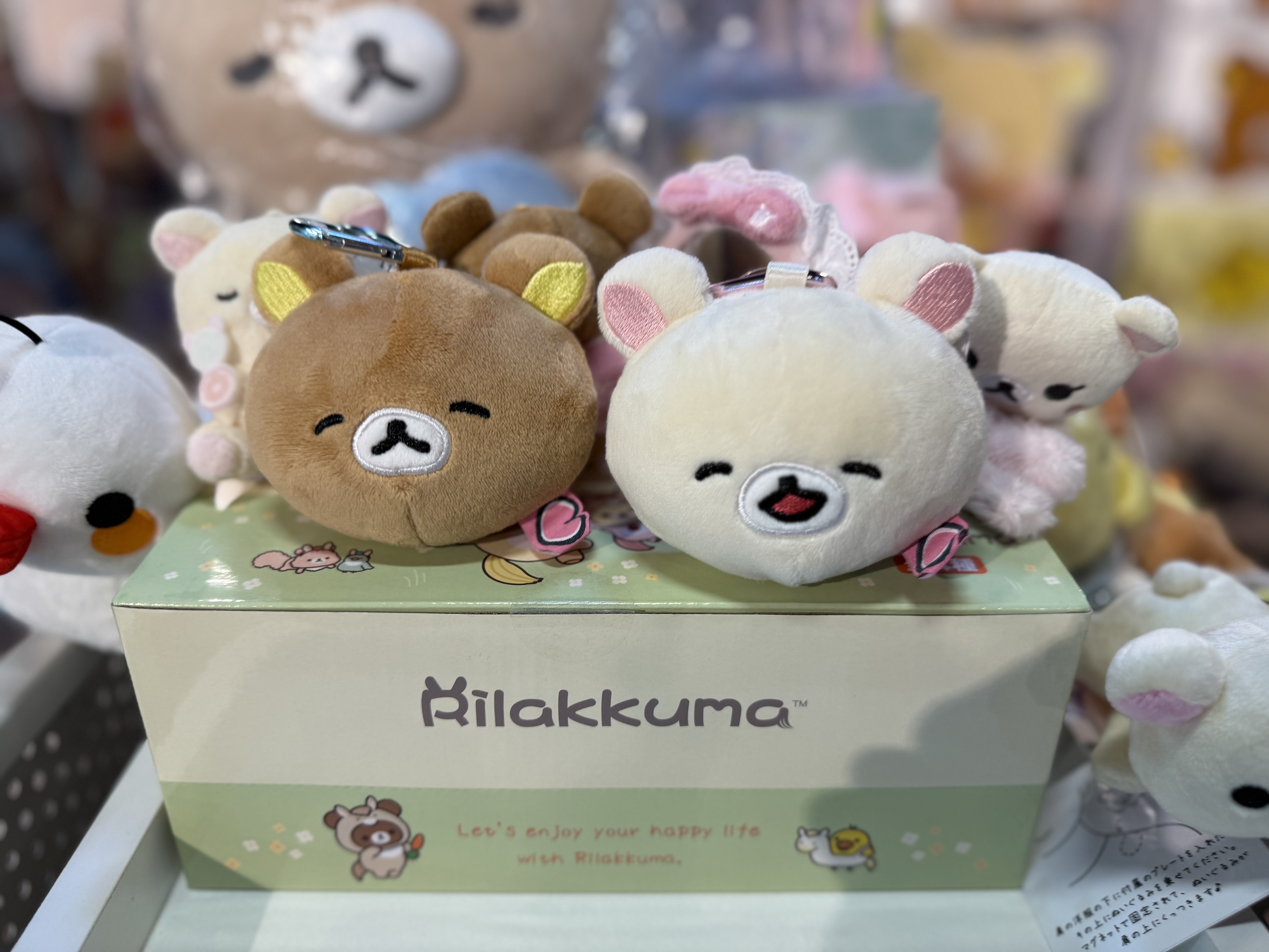 《現貨》全新 happy rilakkuma 系列頭型鏡仔