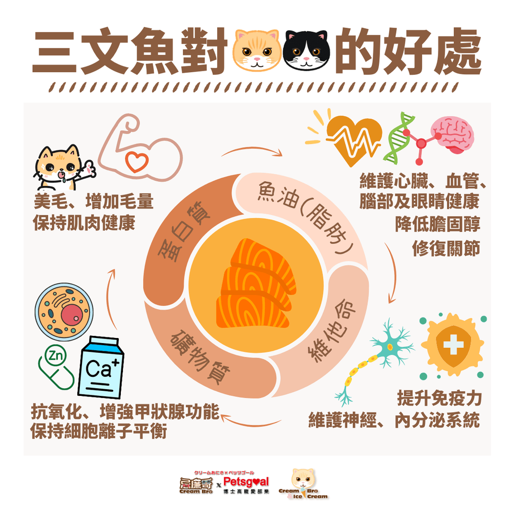 (現貨即取)忌廉哥xPetsgoal 三文魚凍乾脫水肉粒(貓狗適用)  160g