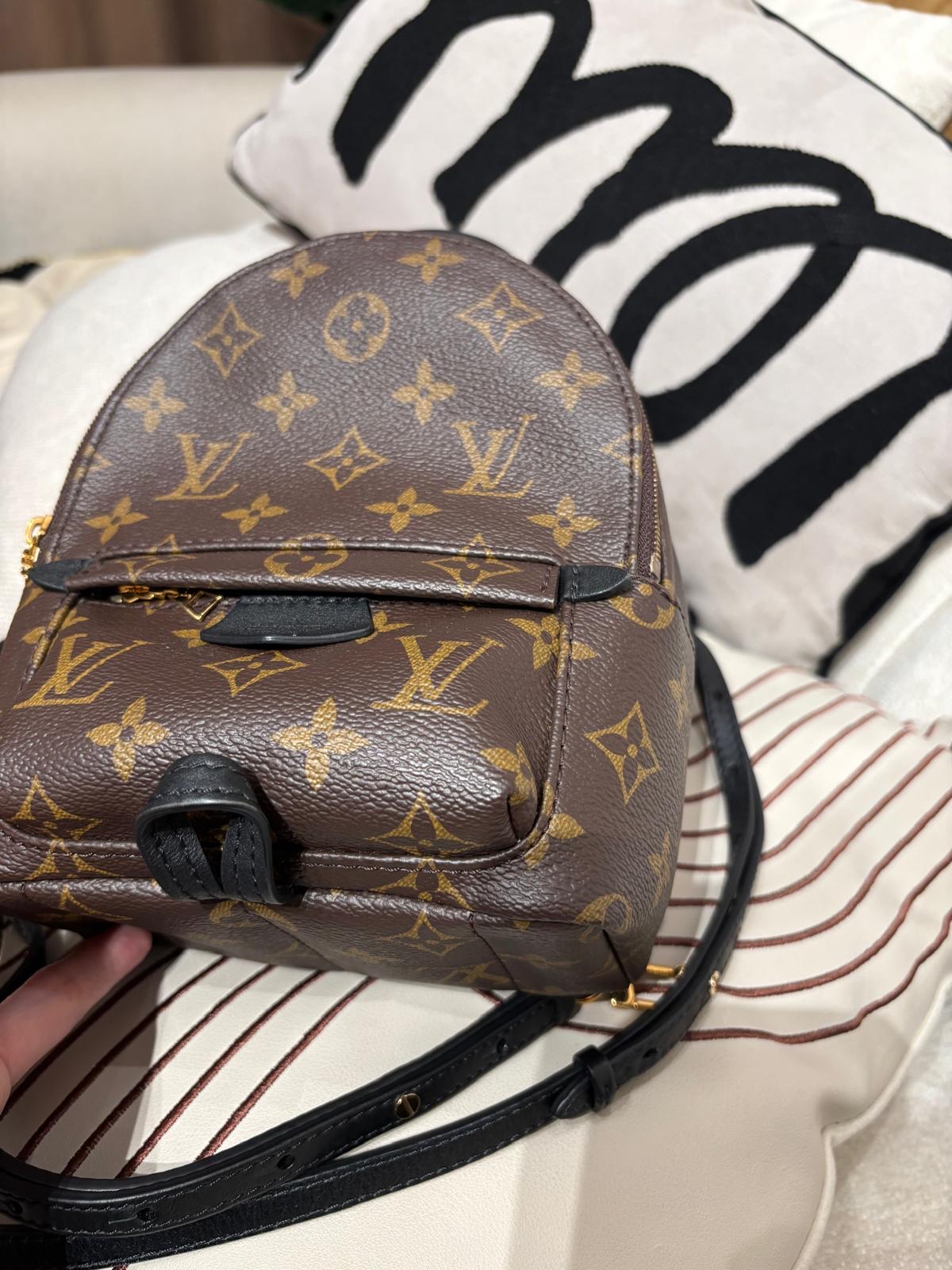 Lv mini Palm Springs backpack M44873 100%Authentic ,98%new ✅dust bag✅Strap