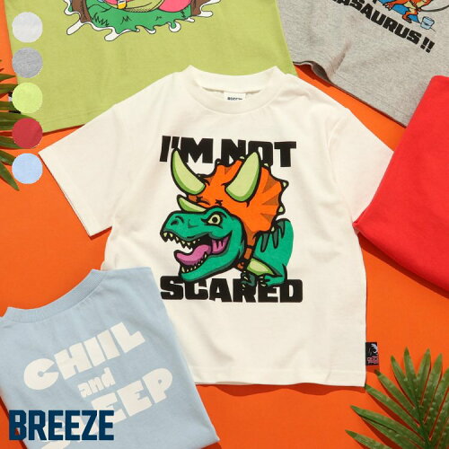 🆕【⭐訂購⭐】🌀 🇯🇵 日本直送 前後恐龍圖案印花 短袖T恤［5款選］ 🌀[ELDA-0087][260509]