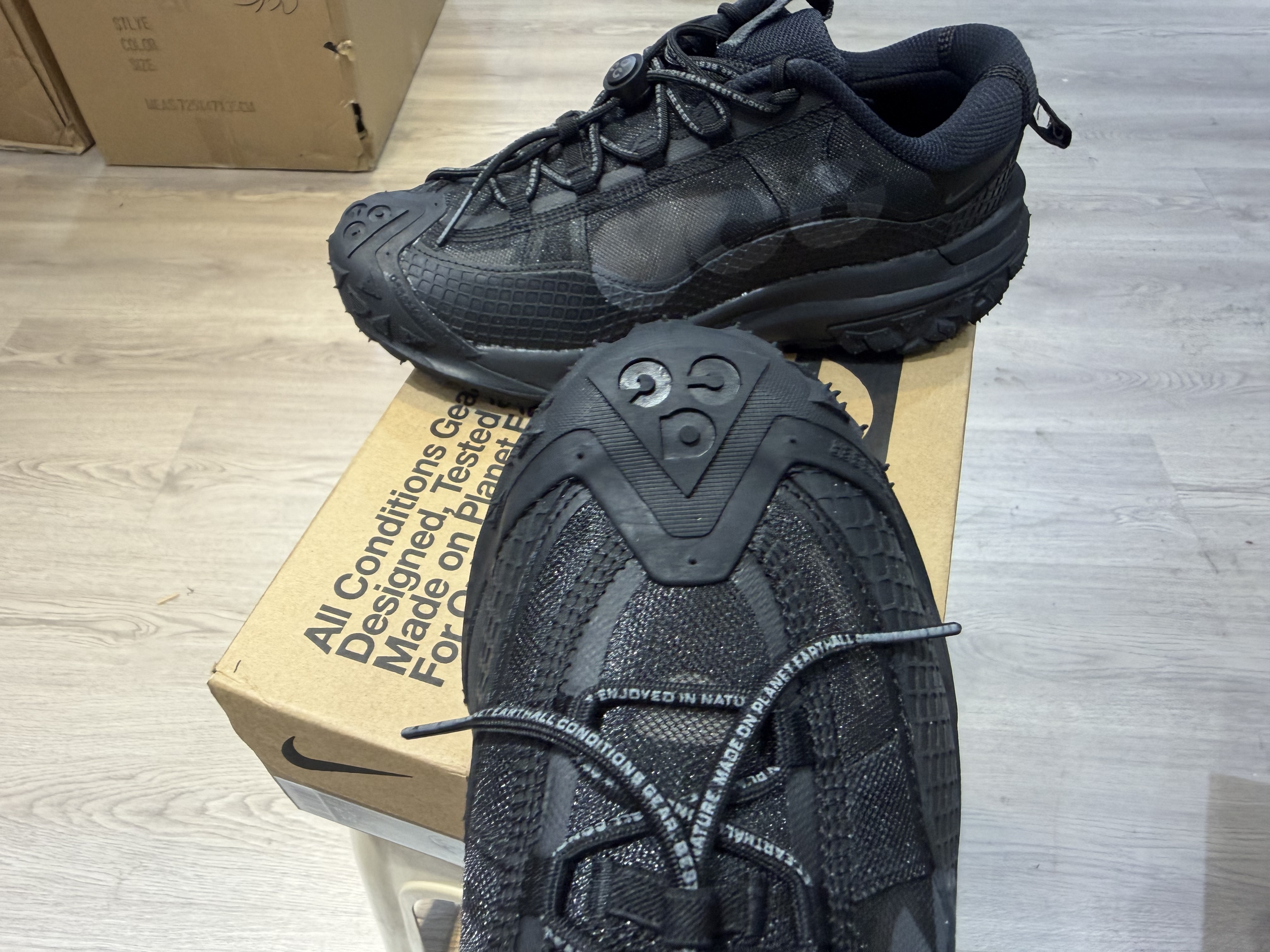 Nike ACG Mountain Fly 2 Low