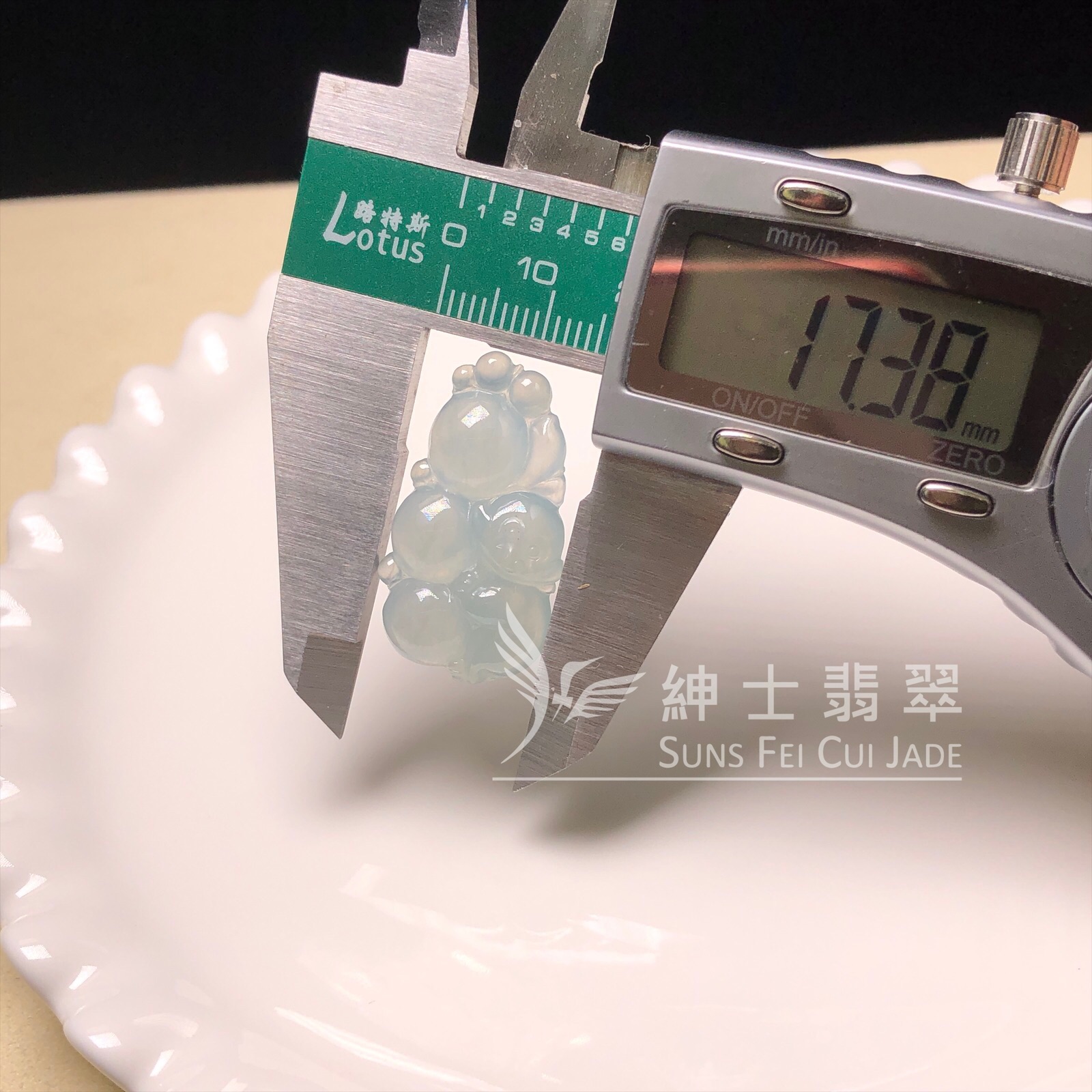  #YK00366 晴水彌猴 