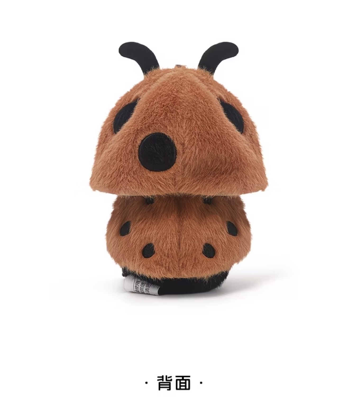 Ladybug 