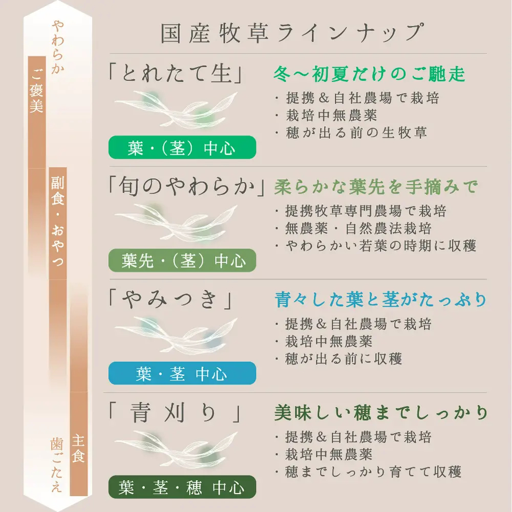 日本Leaf Corp 霜降燕麥草 20g