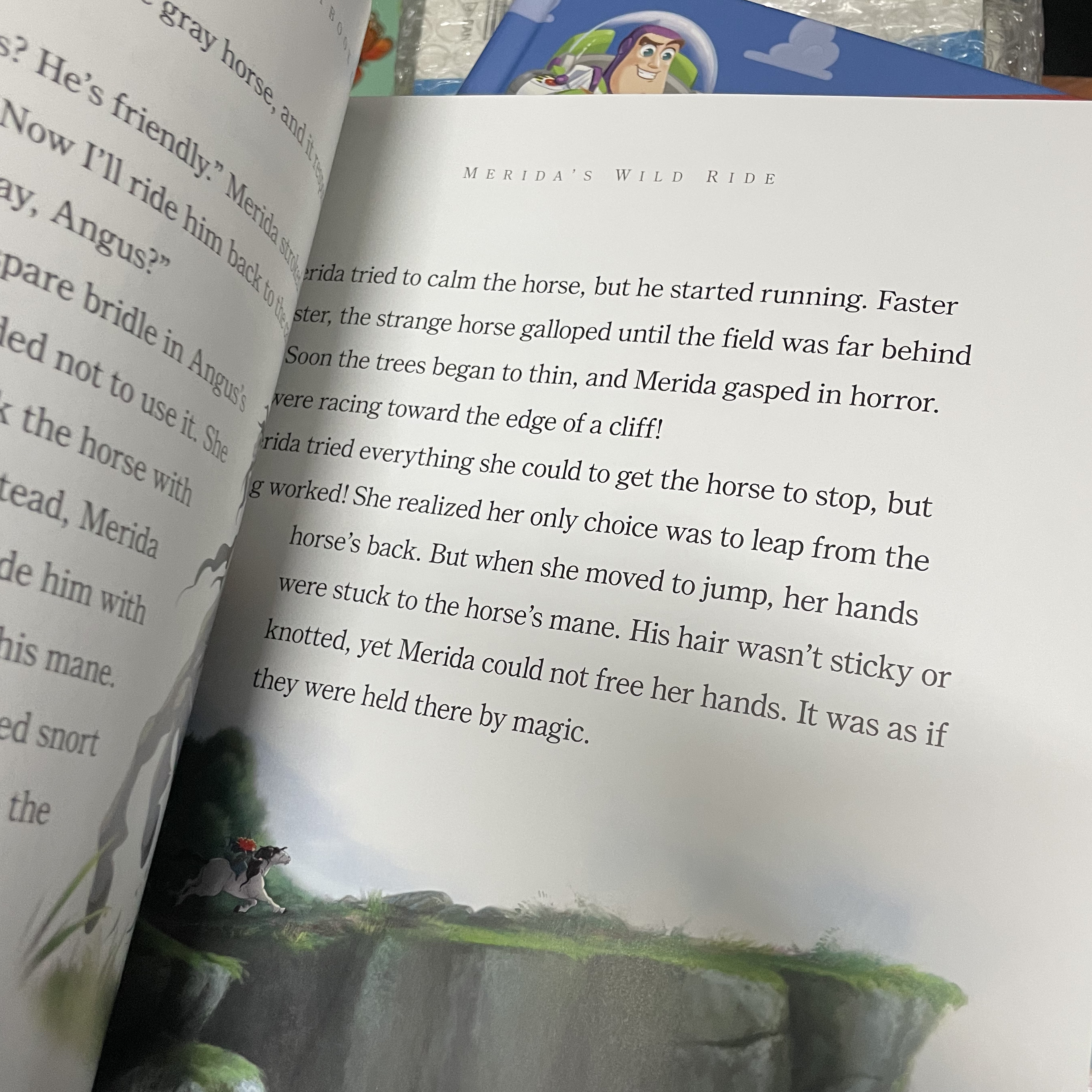 Disney / Princess storybook collection