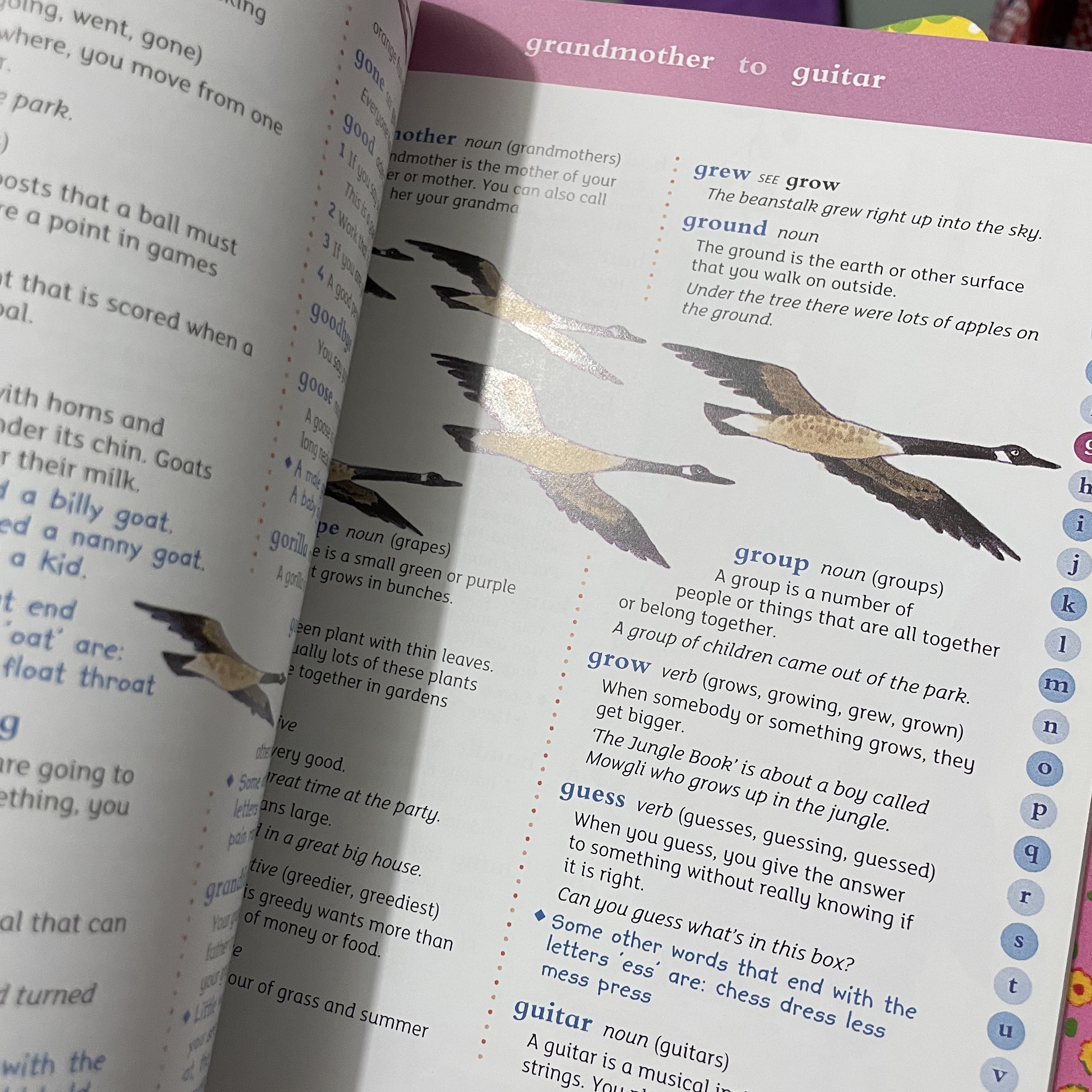 Oxford first illustrated dictionary